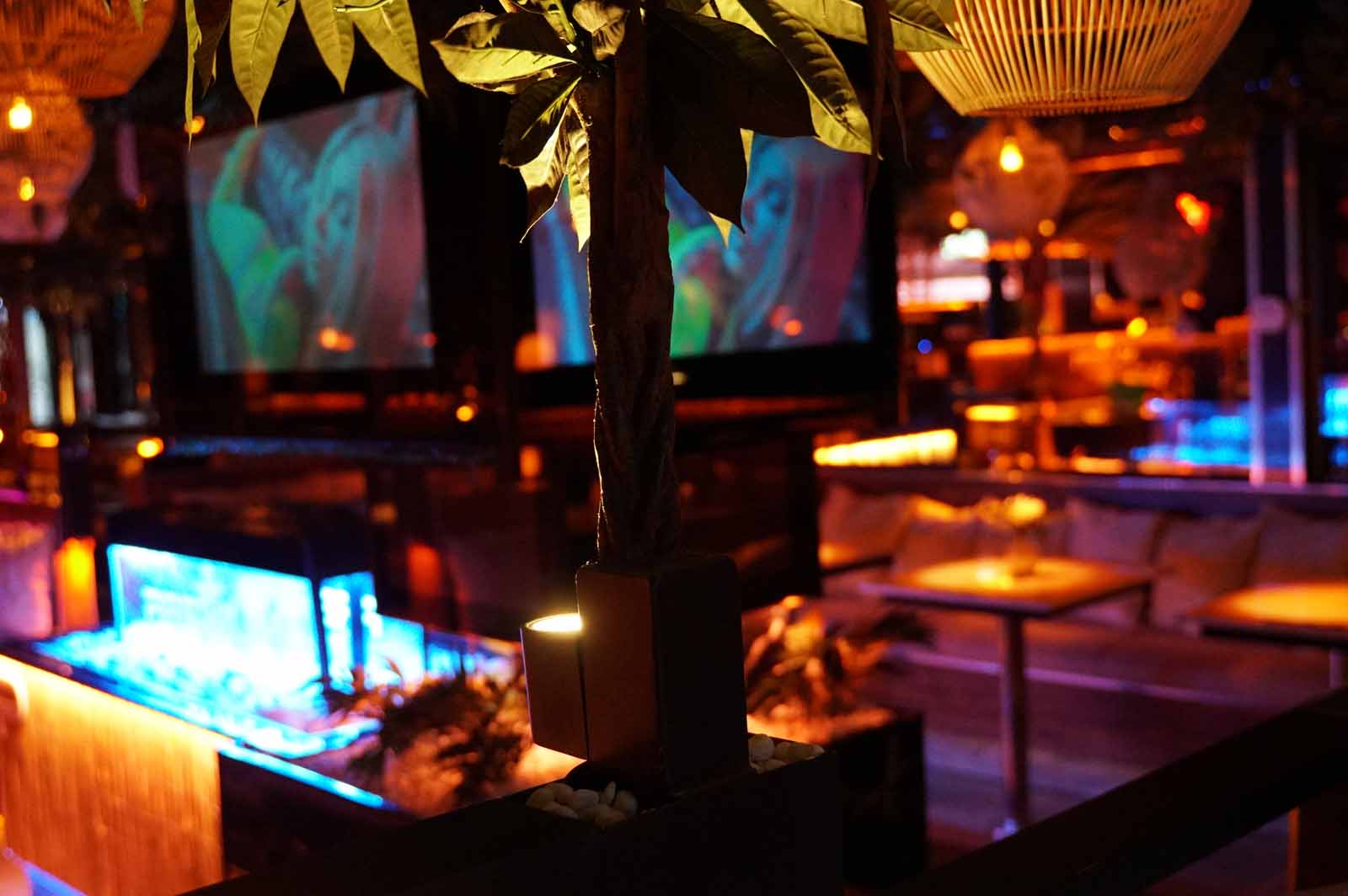 PREMIUM Shisha Bar Interior